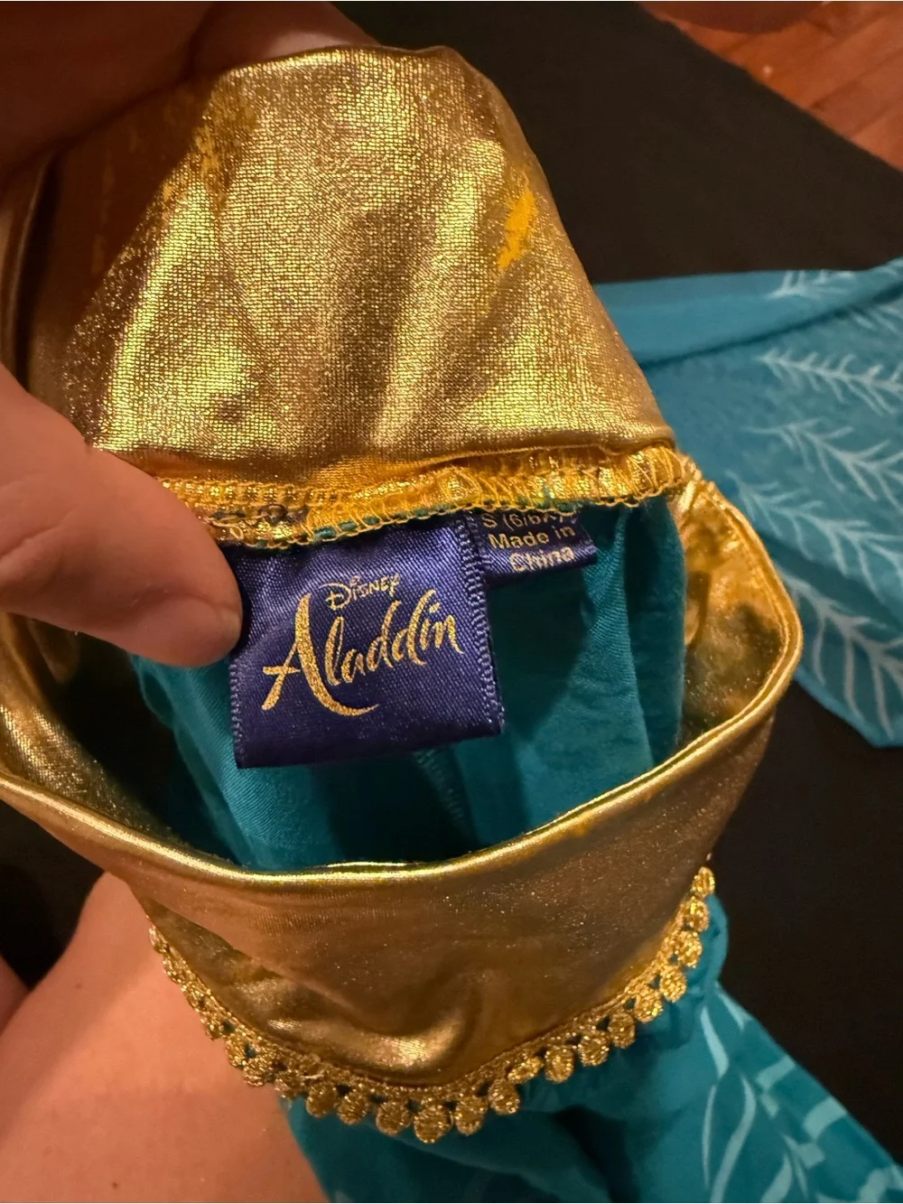 Disney Princess Jasmine Teal and Gold Peacock-Inspired Princess Costume